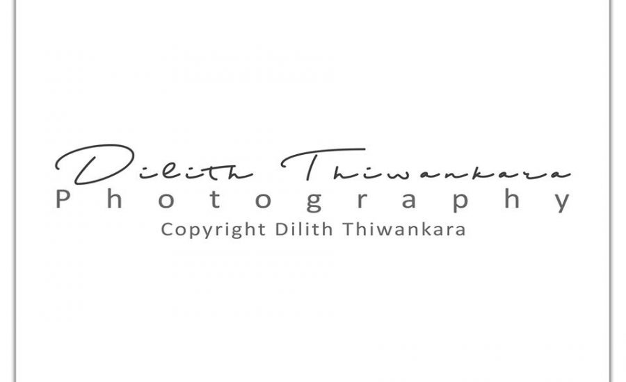 Dilith Thiwankara Photography