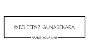 Dileepaz Gunasekara Photography