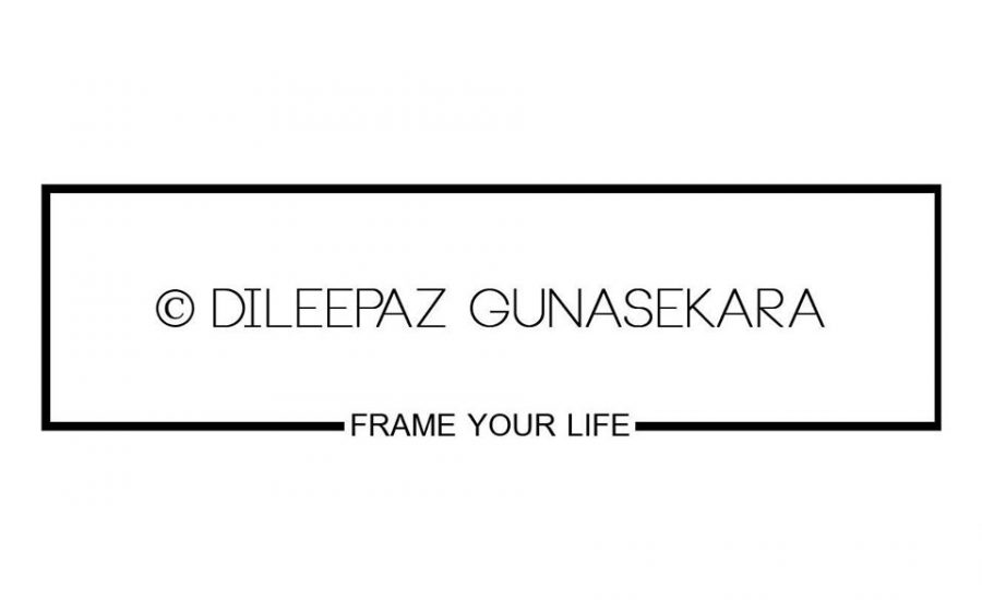 Dileepaz Gunasekara Photography