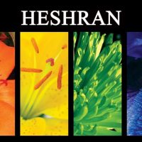 HESHRAN Wedding Decor