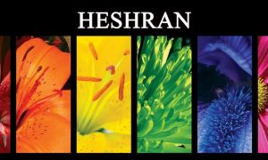 HESHRAN Wedding Decor